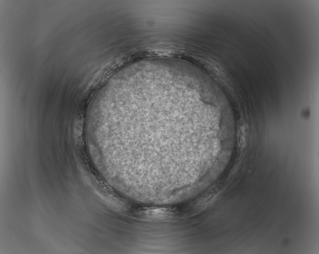 X0000114690365200912021051