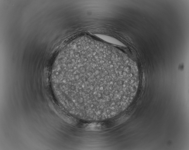 X0000114690366200912021051