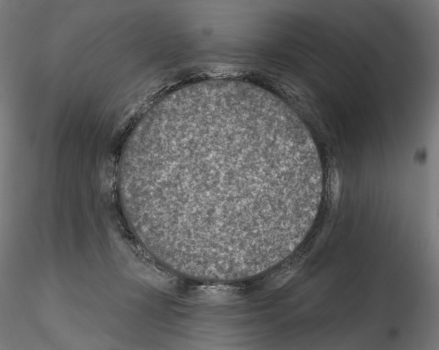 X0000114690367200912021051