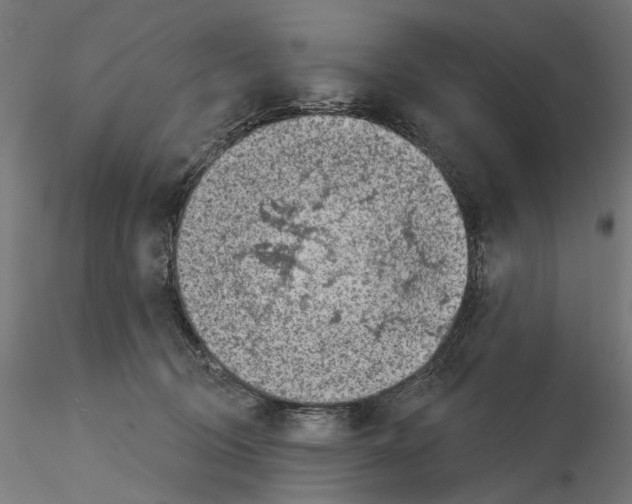 X0000114690370200912021051