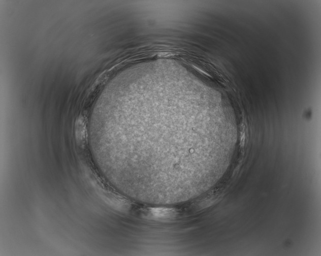 X0000114690371200912021051
