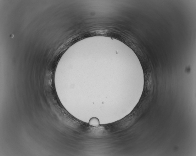 X0000114690374200912021051