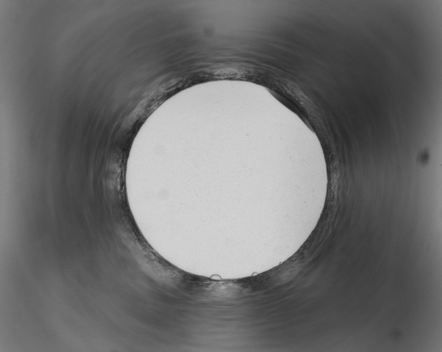 X0000114690379200912021051