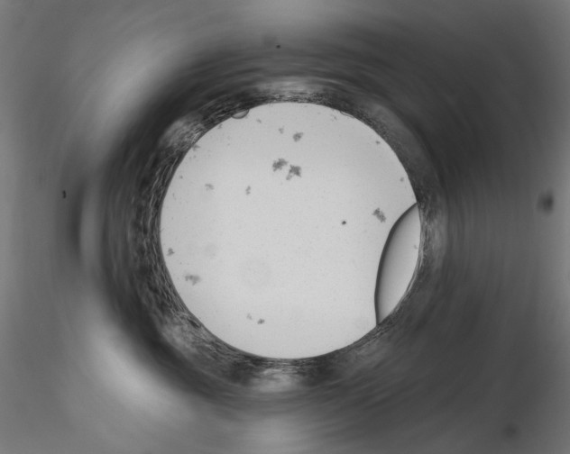 X0000114690381200912021051