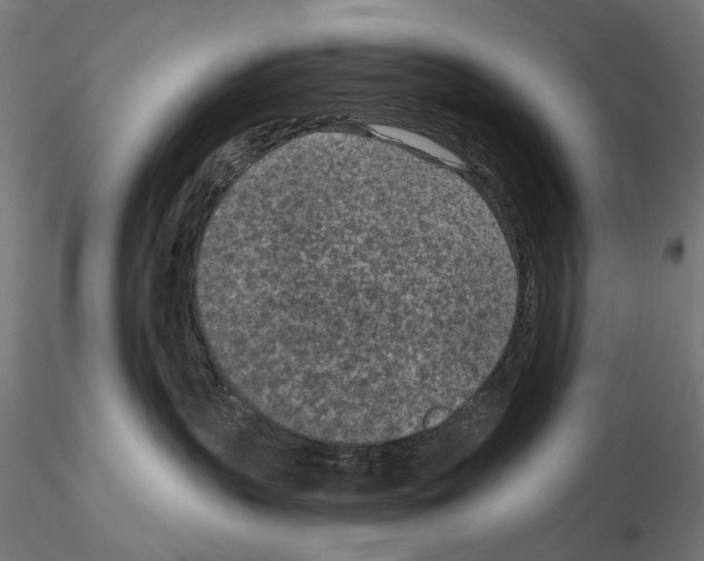 X0000114690383200912021051