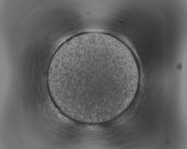 X0000114690385200912021050