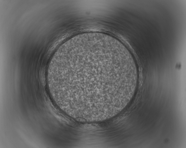 X0000114690386200912021050