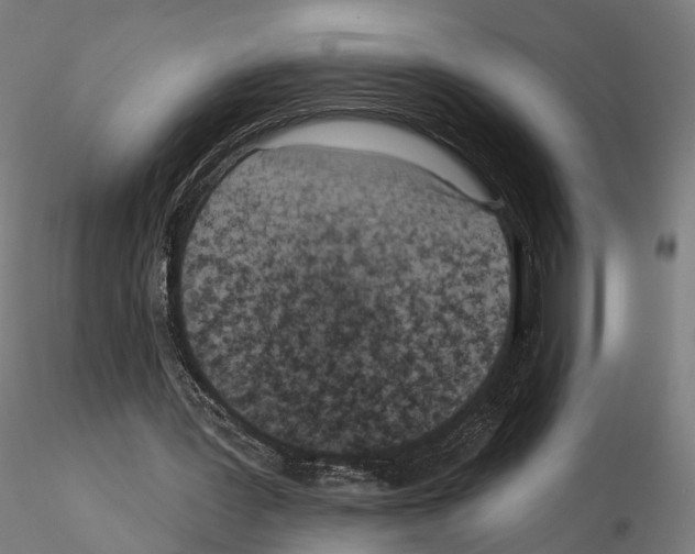 X0000114690387200912021050