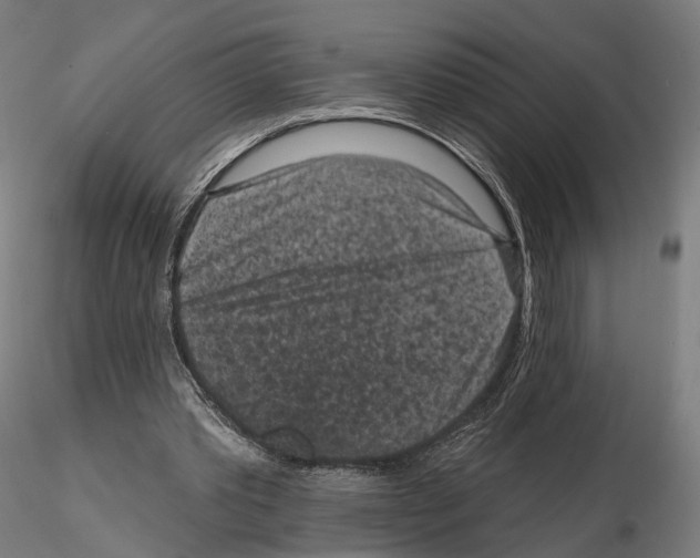 X0000114690389200912021050