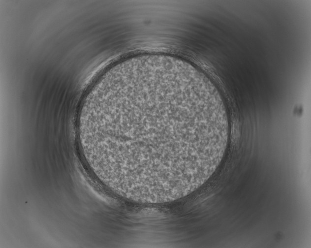 X0000114690390200912021050
