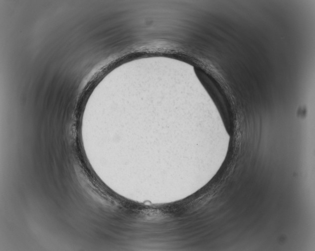 X0000114690392200912021050