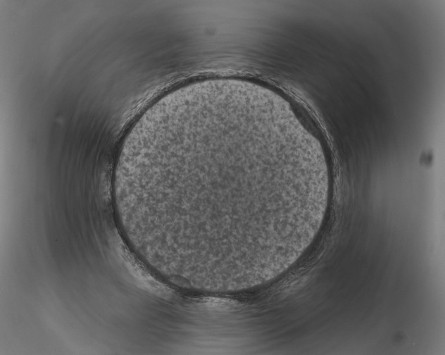 X0000114690393200912021050