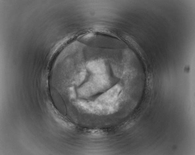X0000114690395200912021050