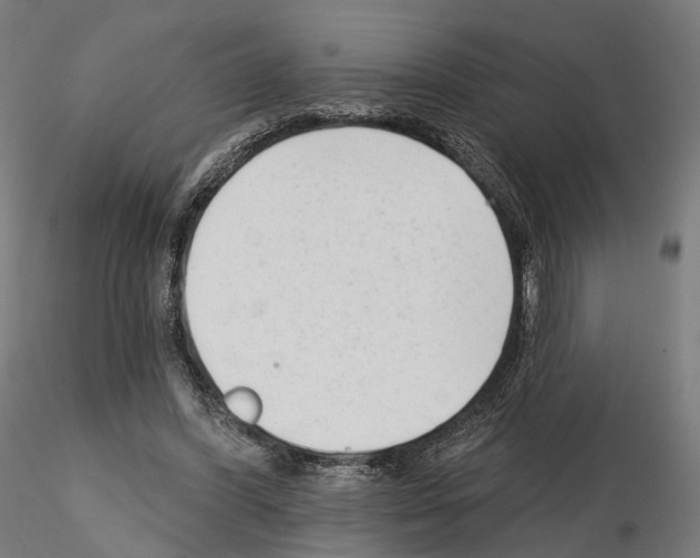 X0000114690396200912021050