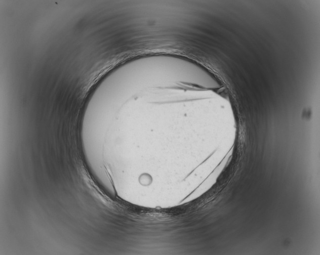 X0000114690397200912021050