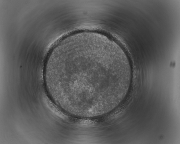 X0000114690399200912021050