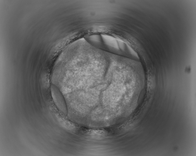 X0000114690401200912021050