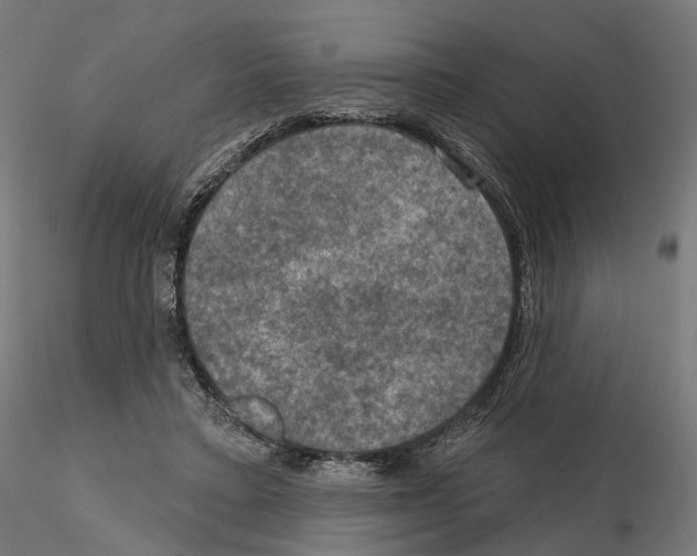X0000114690403200912021050