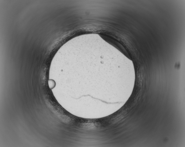 X0000114690404200912021050