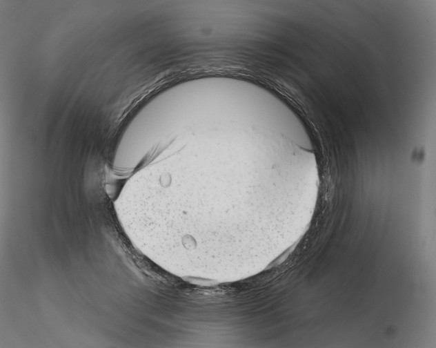 X0000114690405200912021050