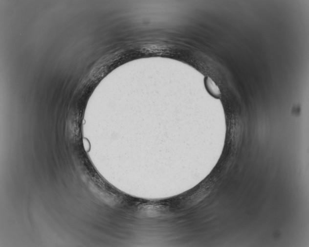 X0000114690408200912021050