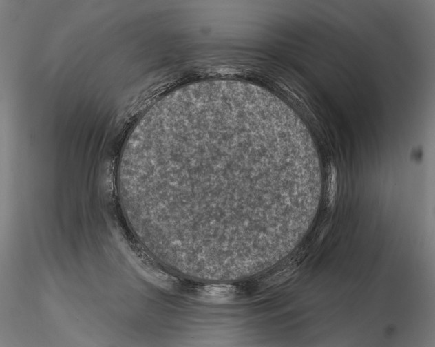 X0000114690410200912021050