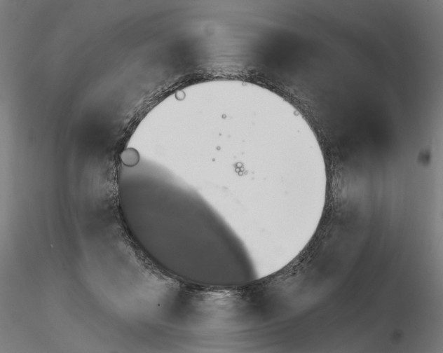 X0000114690411200912021050
