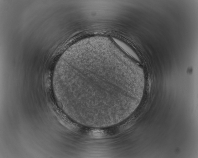 X0000114690413200912021050