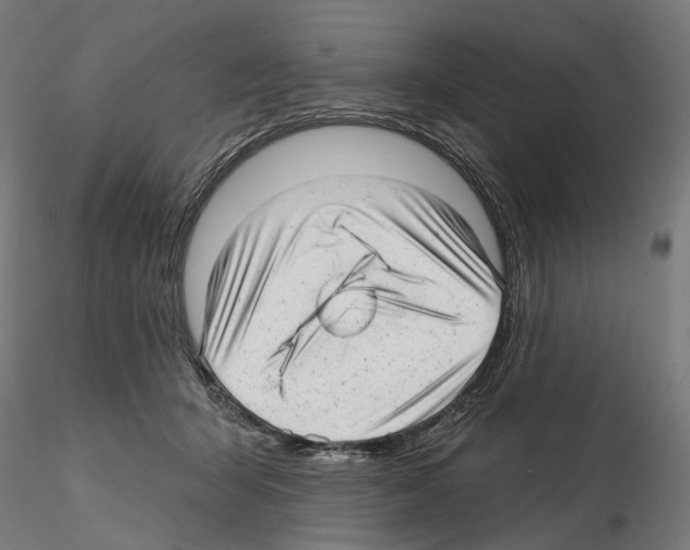 X0000114690415200912021050