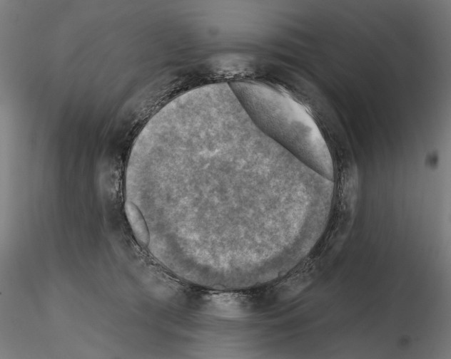 X0000114690417200912021050