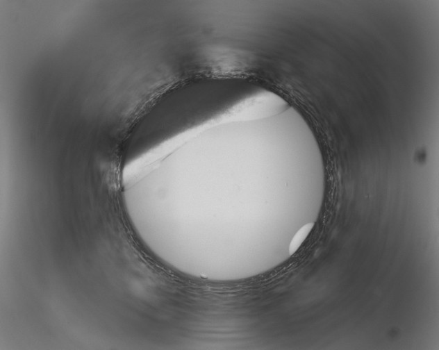X0000114690419200912021050