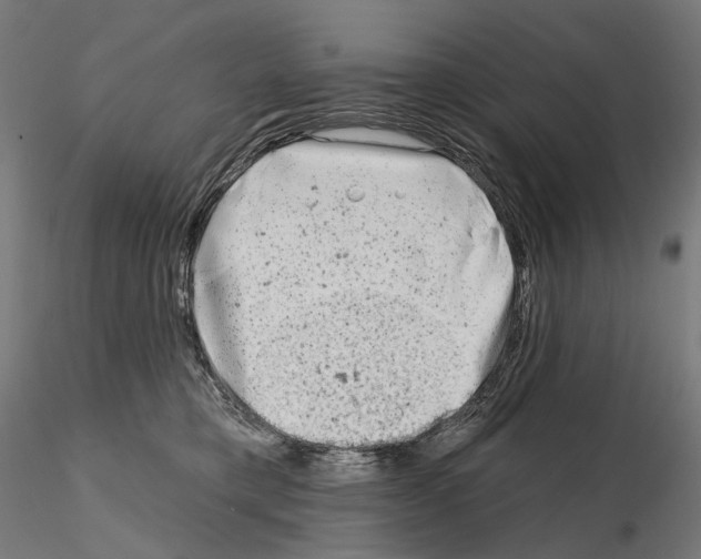 X0000114690421200912021050
