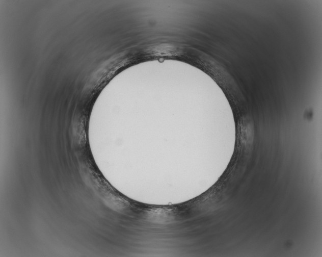 X0000114690422200912021050
