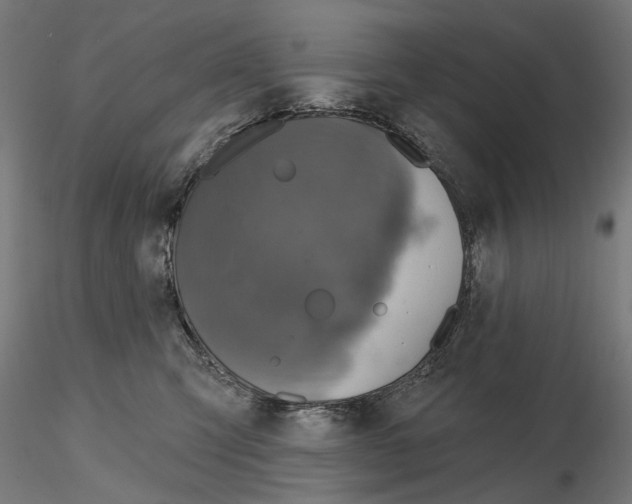 X0000114690423200912021050