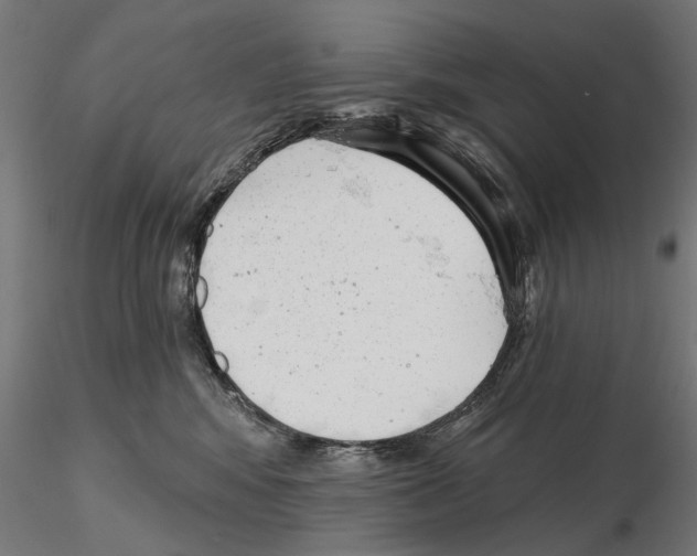 X0000114690424200912021050