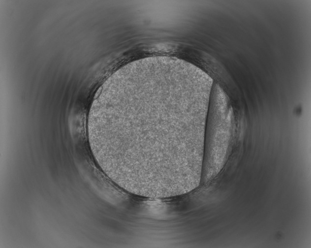 X0000114690425200912021050