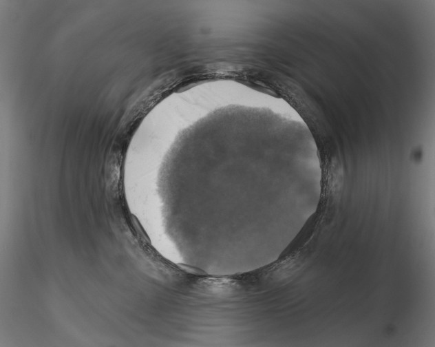 X0000114690427200912021050