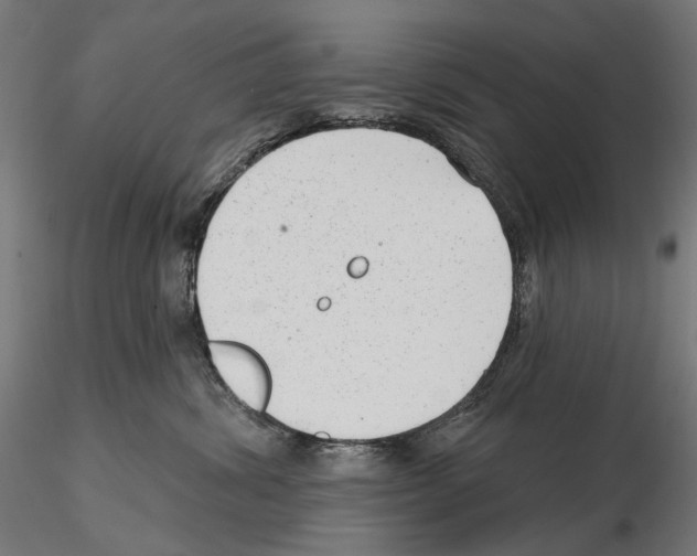 X0000114690428200912021050
