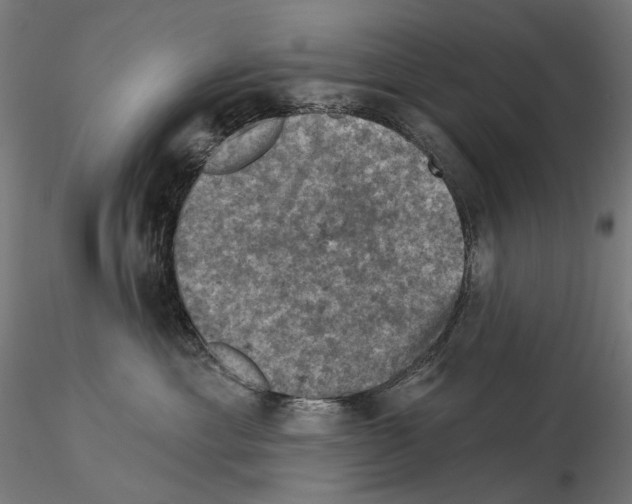 X0000114690429200912021050