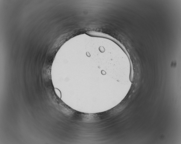 X0000114690432200912021050