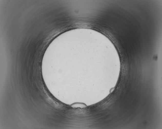 X0000114690433200912021049