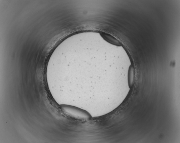 X0000114690434200912021049