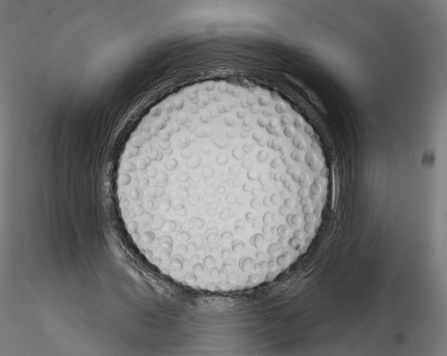 X0000114690435200912021049