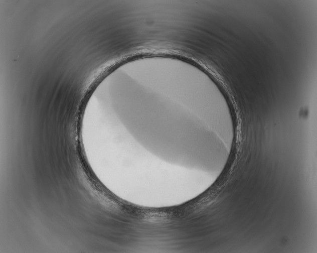 X0000114690438200912021049