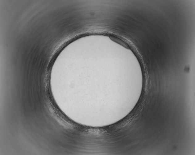 X0000114690439200912021049
