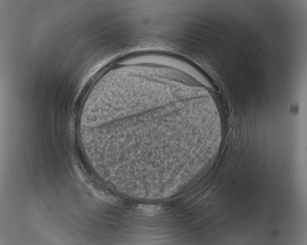 X0000114690440200912021049