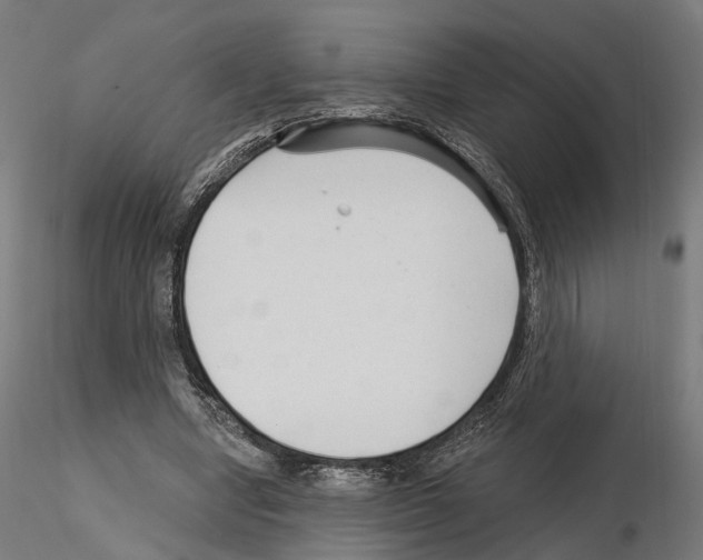 X0000114690442200912021049