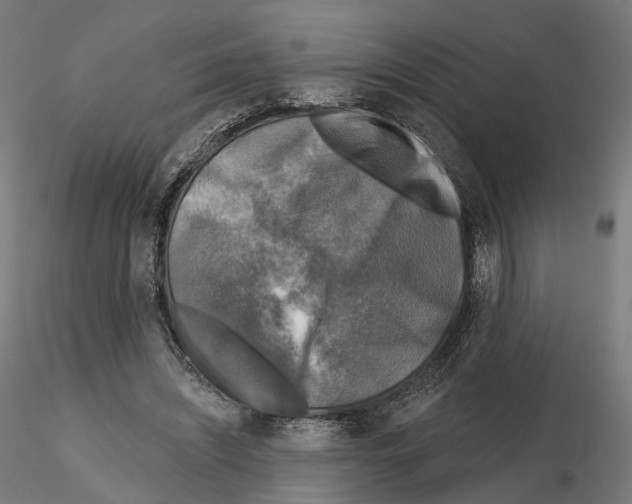 X0000114690444200912021049