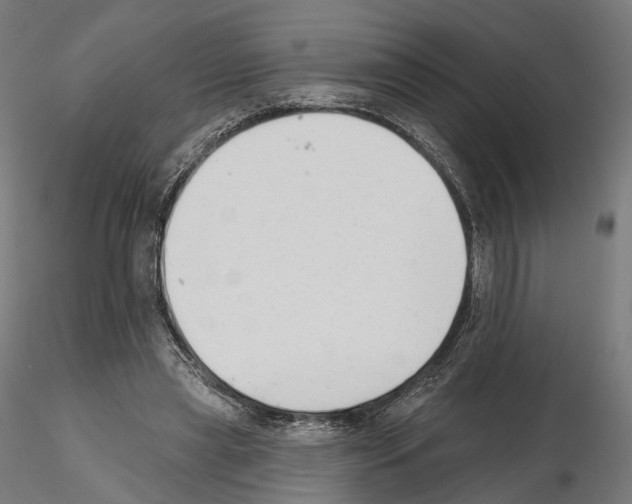 X0000114690445200912021049