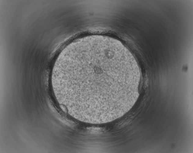 X0000114690448200912021049